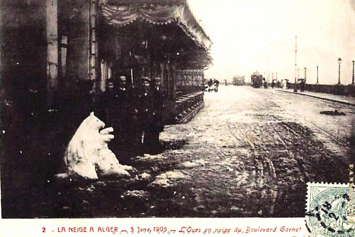 Alger - Boulevard Carnot - Ours en Neige - 1905.jpg